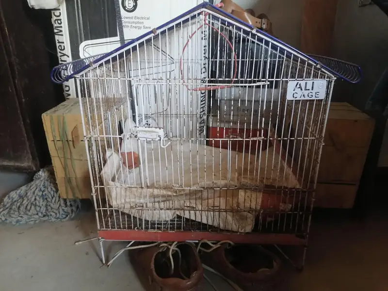 birds cage — photo 2
