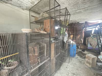 Birds Cages And accessories, Other Things available forsale
