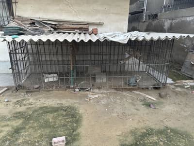 Big cage /pinjra