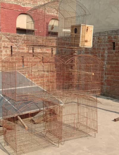 Used Cages Low Price