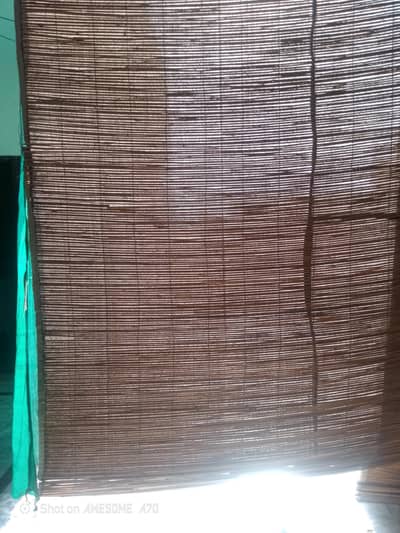 Foldable chicks are available