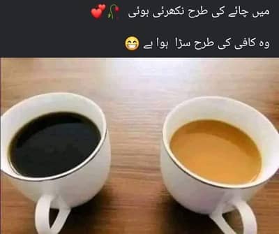 urgent need some male/female office staff