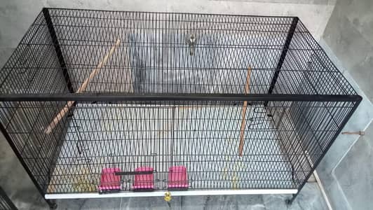 Birds Cage