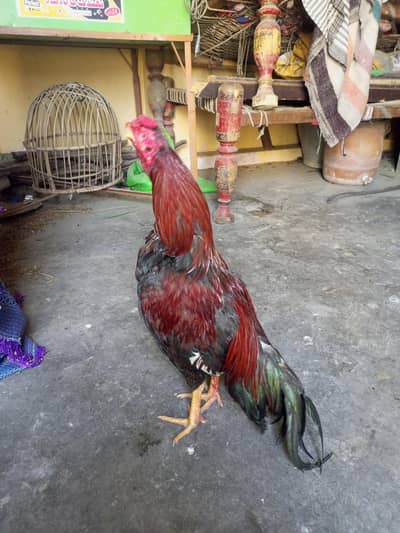 cargo b ho Jaye ga or exchange b ho jaye ga