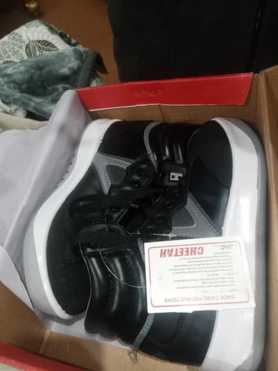 Breand New Shos Cheeta 8 No Size