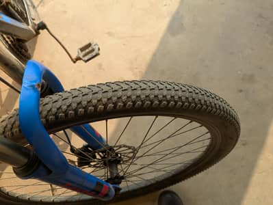 sprots bicycle for adults