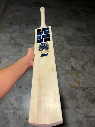 Kashmir willow hardball bat