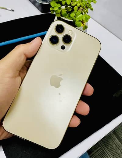 12 pro max pta approved 256gb