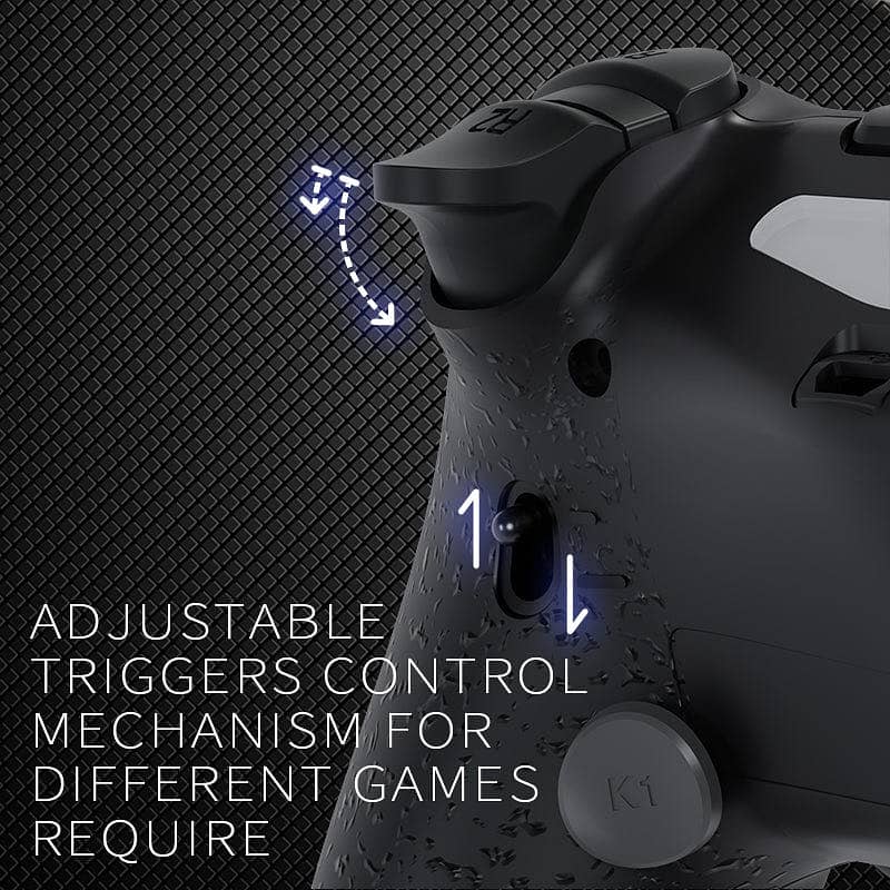 PS4 HEXGAMING COSTOM CONTROLLER 2