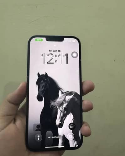 iphone 13 pro max pta approved (1 TB)