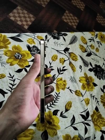 IPhone 12 Pro Max 128 GB unlock Face ID ture tune ok panel oreginal