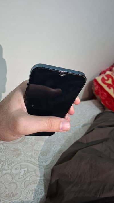 iPhone 12 Pro max factory