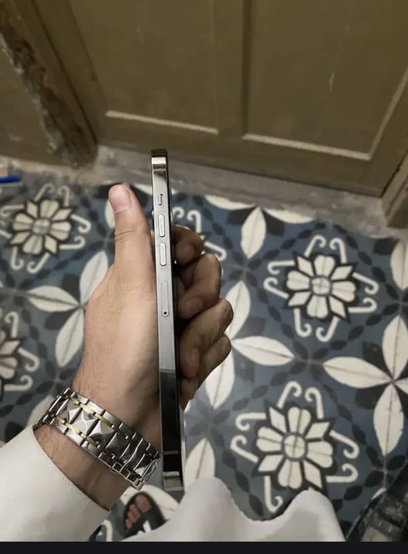 iPhone 13 Pro Max 1
