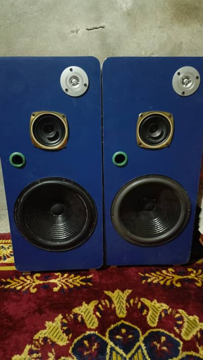 2 woofers speaker