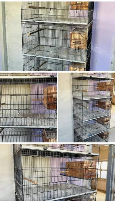 4 Portion Cage  Love Bird Cage Pinjra