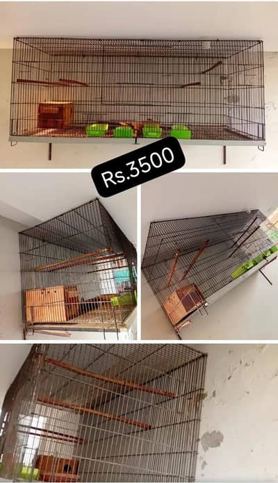 4 Portion Cage  Love Bird Cage Pinjra