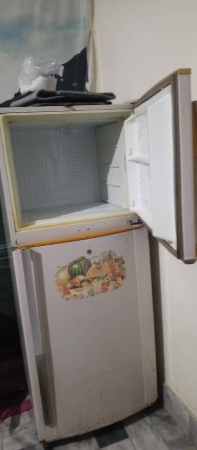 large  freezer urgent sall