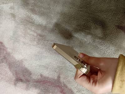 Rose golden 12 pro max