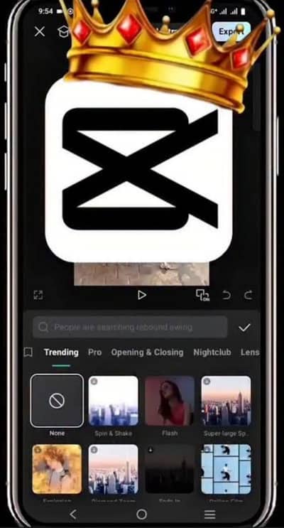 cupcut pro available