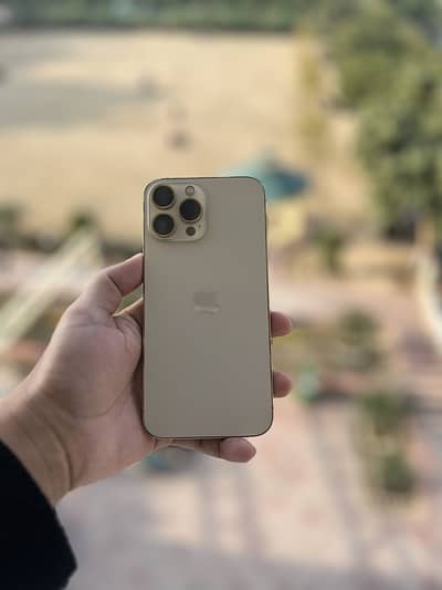 IPhone 13 pro max 256 Gb