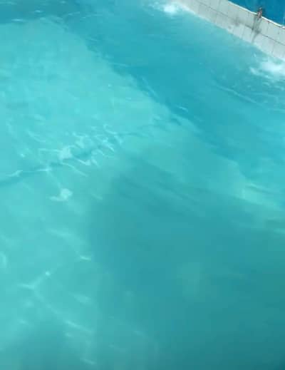 Swimming Pool Cleaning Service Available