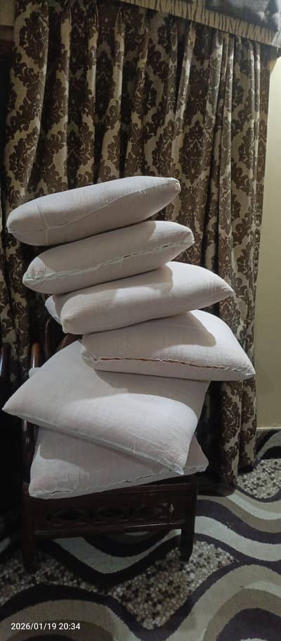 molty foam luxury cushions