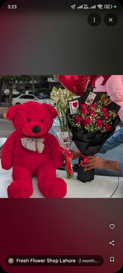 valentine Day Gift teddy white red dark brown colour teddy bear