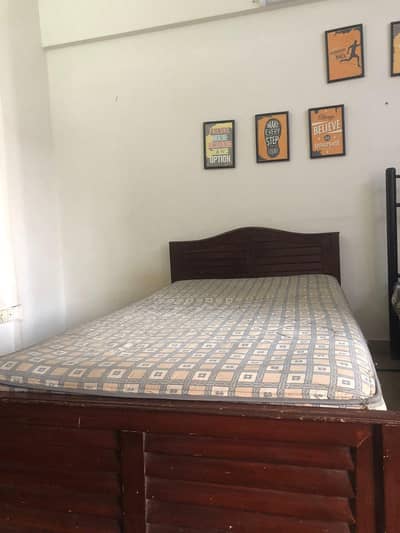 Wooden Single Bed with Spring Matress