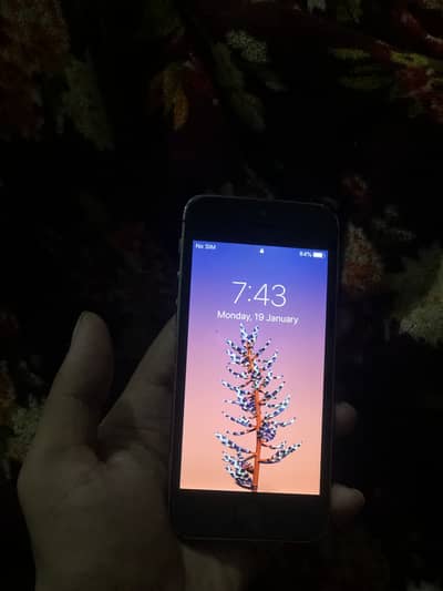 Iphone 5s 16 gb 10/9 all okay non pta