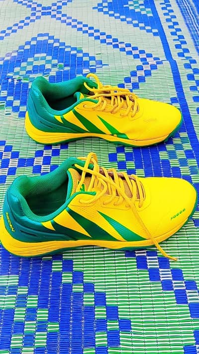 Cricket Shoes