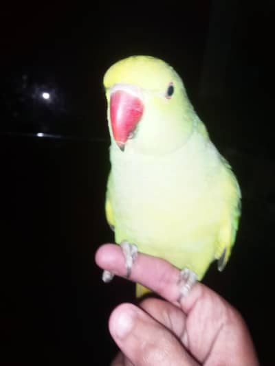 good health and active ha