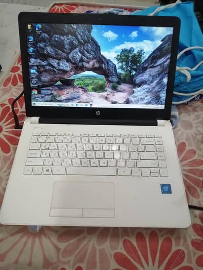 HP White Laptop | Intel Processor | Office & Online Work