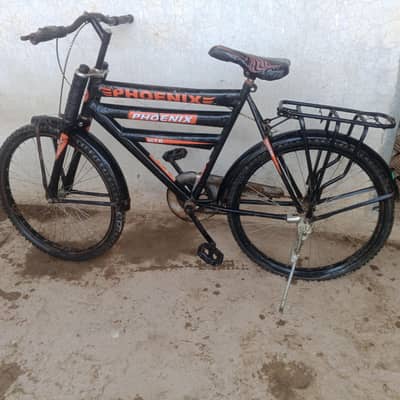 Sports cycle for Man's and women's 03226094649