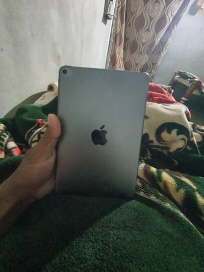 Ipad mini 5