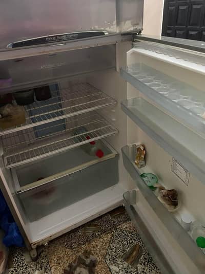 Toshiba Kind size fridge