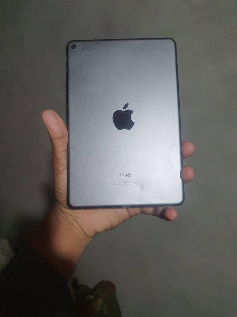 ipad mini 5 0