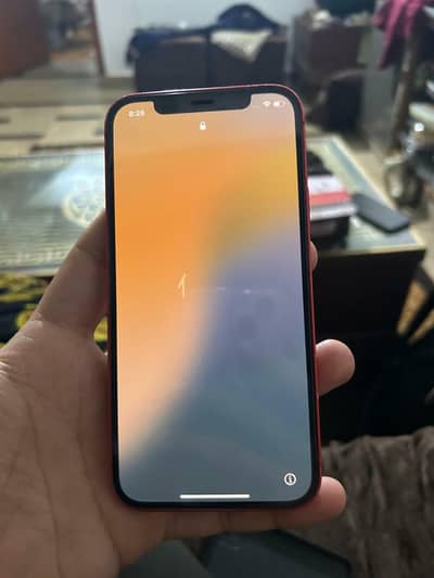 i phone 12 factory unlock