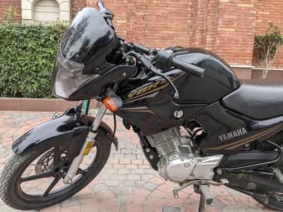Yamaha YBR 2022 Model