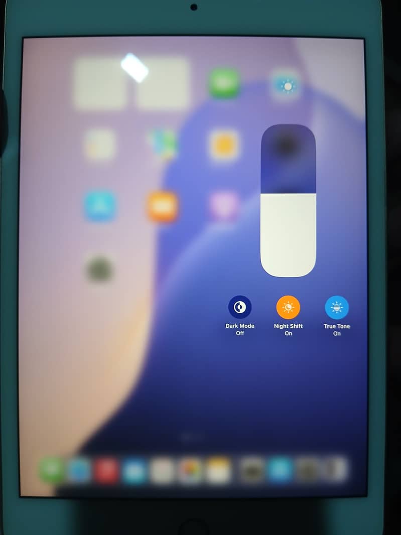 Ipad mini 5 1