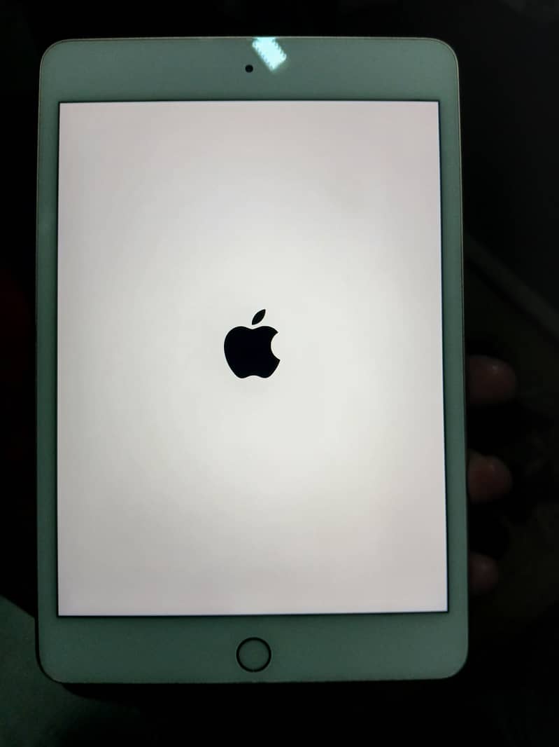 Ipad mini 5 5