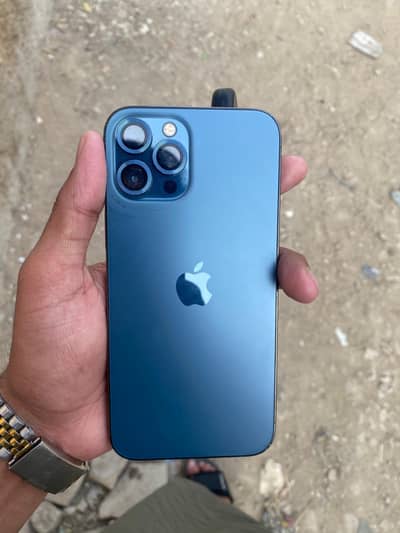 WhatsApp number 03141080682