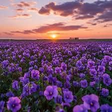 FEMALE COMPUTER OPERATOR EXPERINCED URGENT REQUIRED