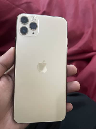 11 pro max 256 NON PTA Body and panel ( panel not original)