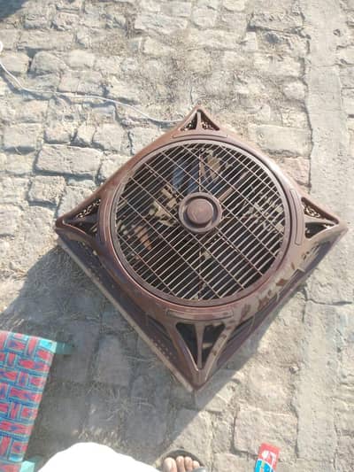 celling fan