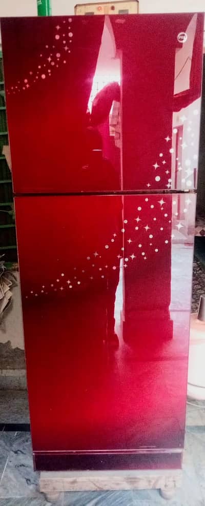 pel fridge large size