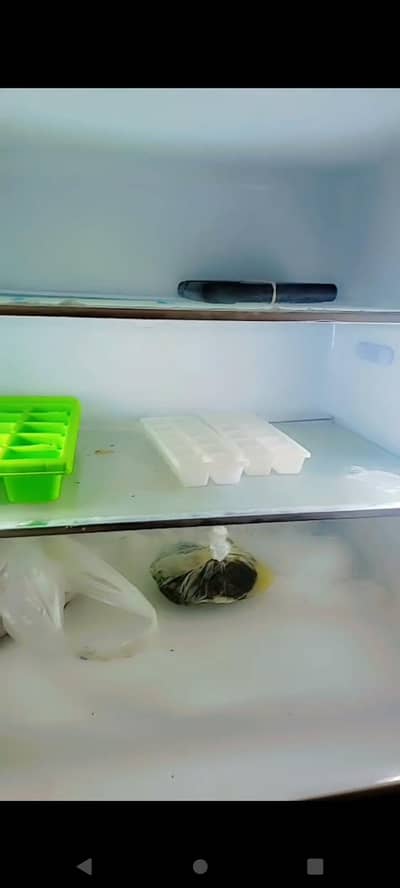 HRF-3981APA+DC/368l/PURPLE GLASS