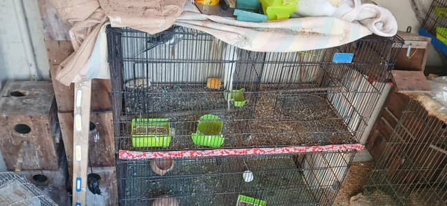 cages for sale folding cages