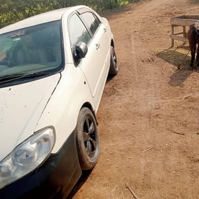 Toyota Corolla xli 2004
