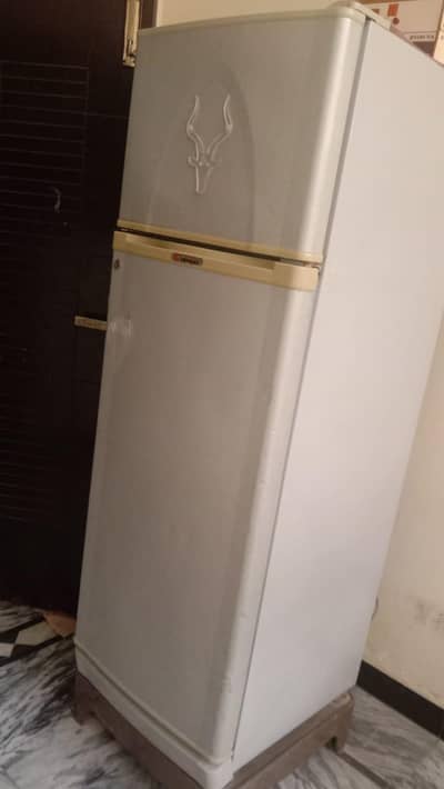 fridge A1 condition