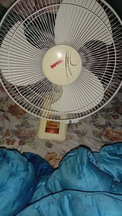 Royal Bracket Fan